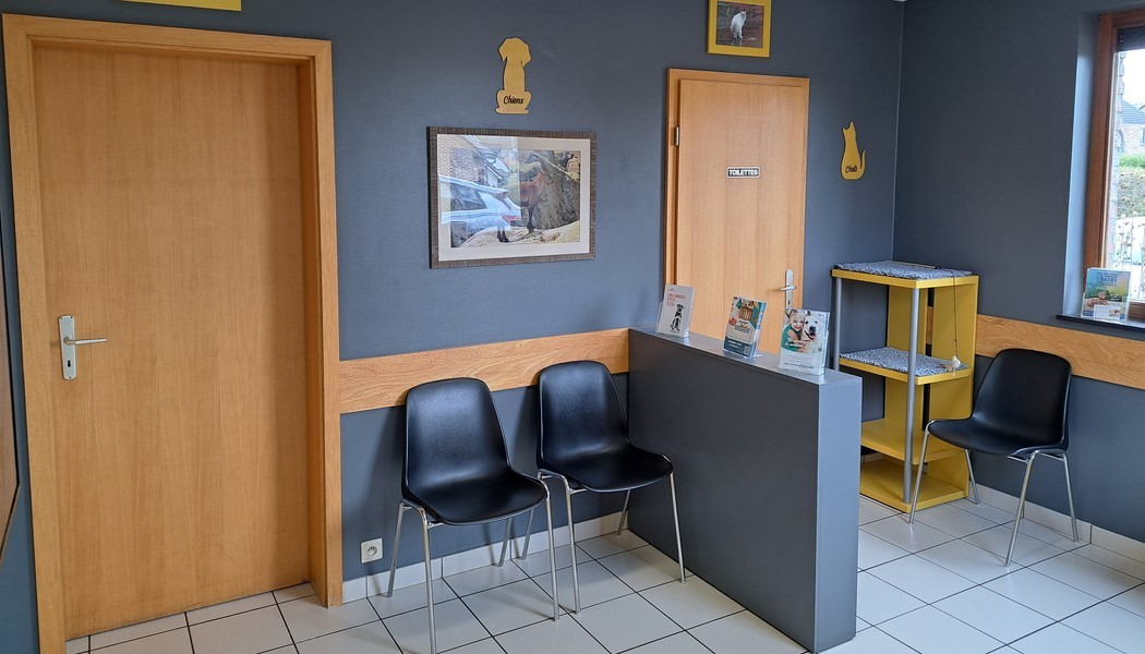 salle d'attente avec espace chat séparé