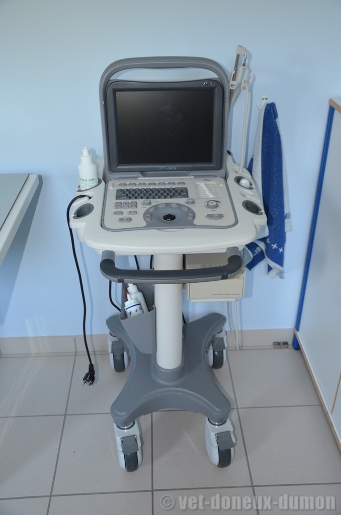 échographe, echographie
