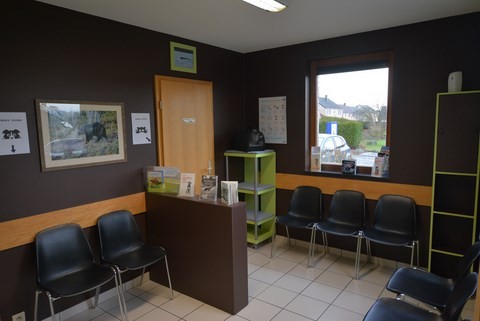 salle d'attente avec espaces chat et chien séparés