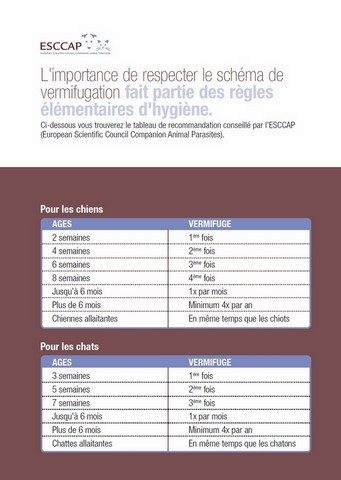 schema vermifugation chien chat