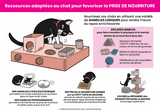 cat welfare prise nourriture