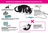 cat welfare jeu