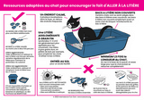 cat welfare propreté chat 