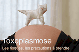 toxoplasmose